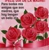 vilmachavez068
